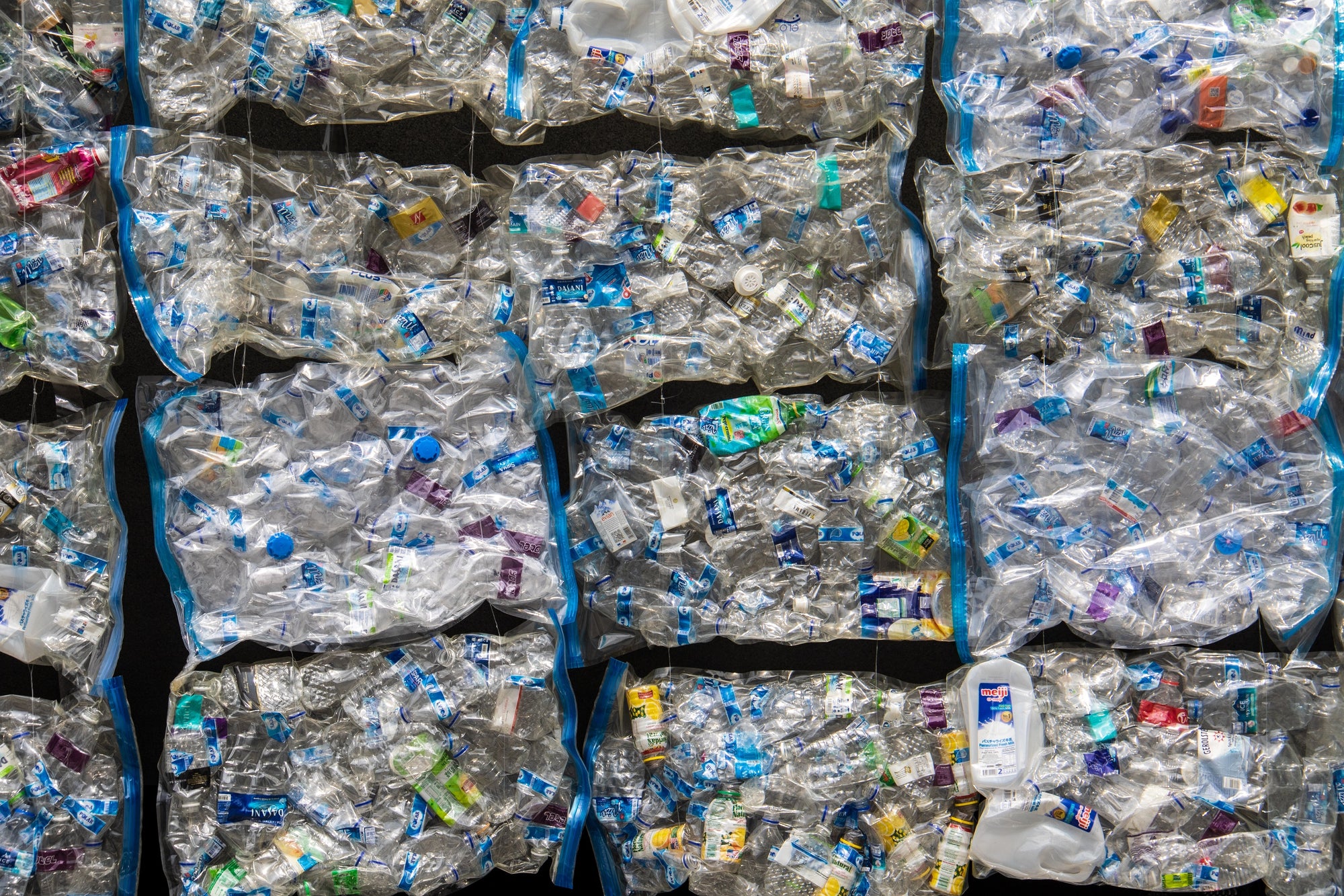 Plastikflaschen sortiert für Recyclingprozess